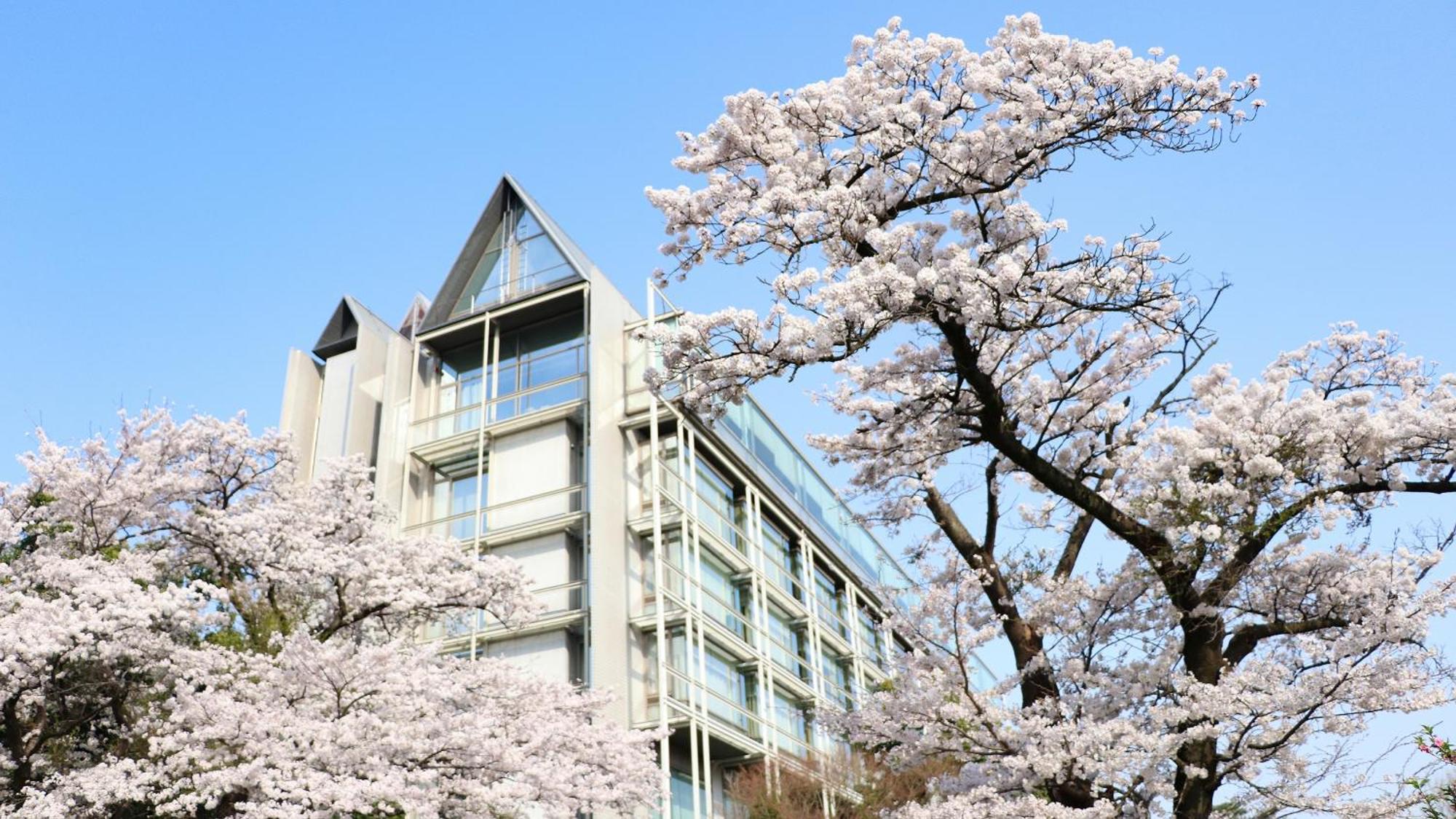 Kikusuitei Higashimurayama Extérieur photo